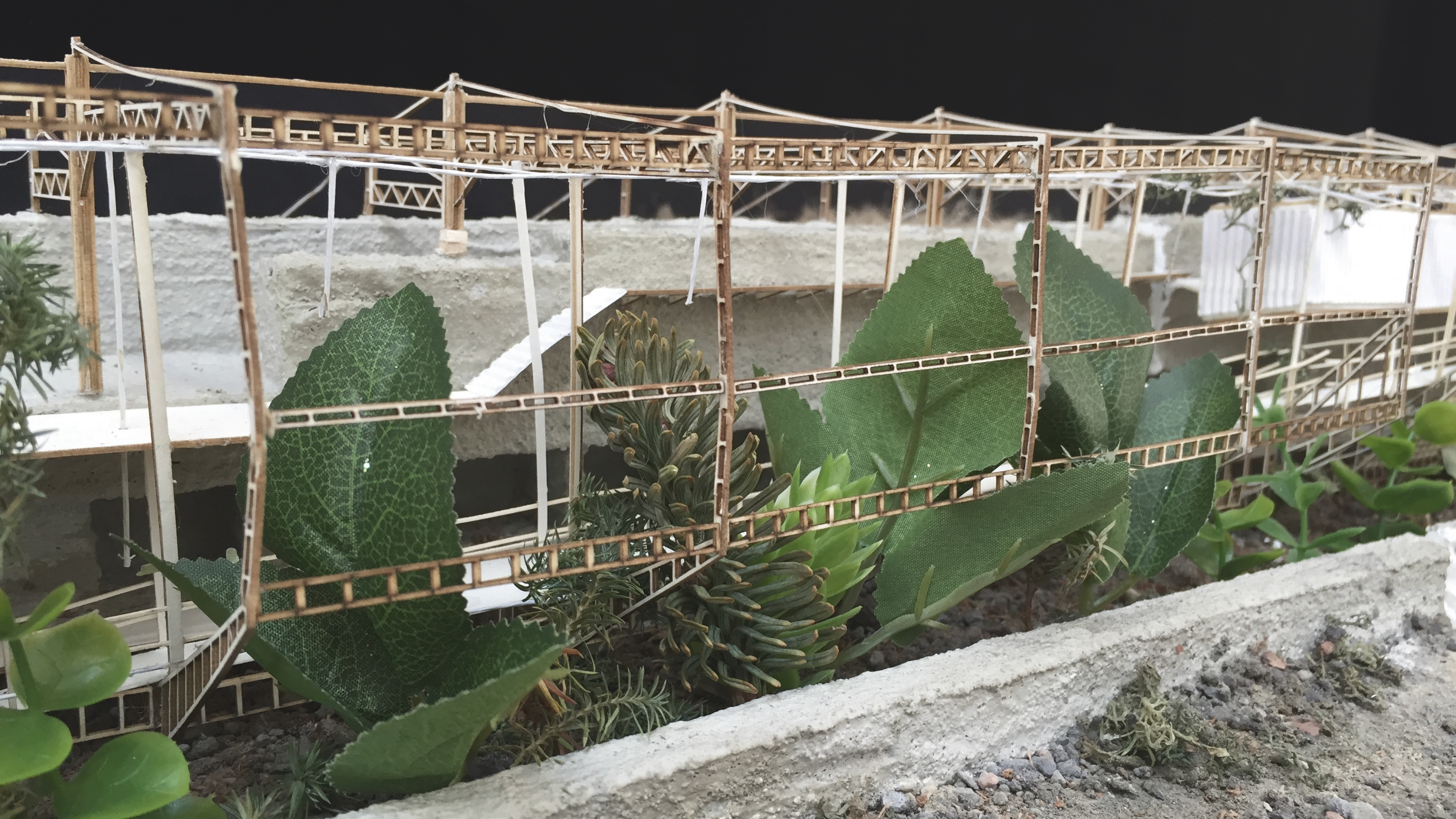 Interior render — water purification path