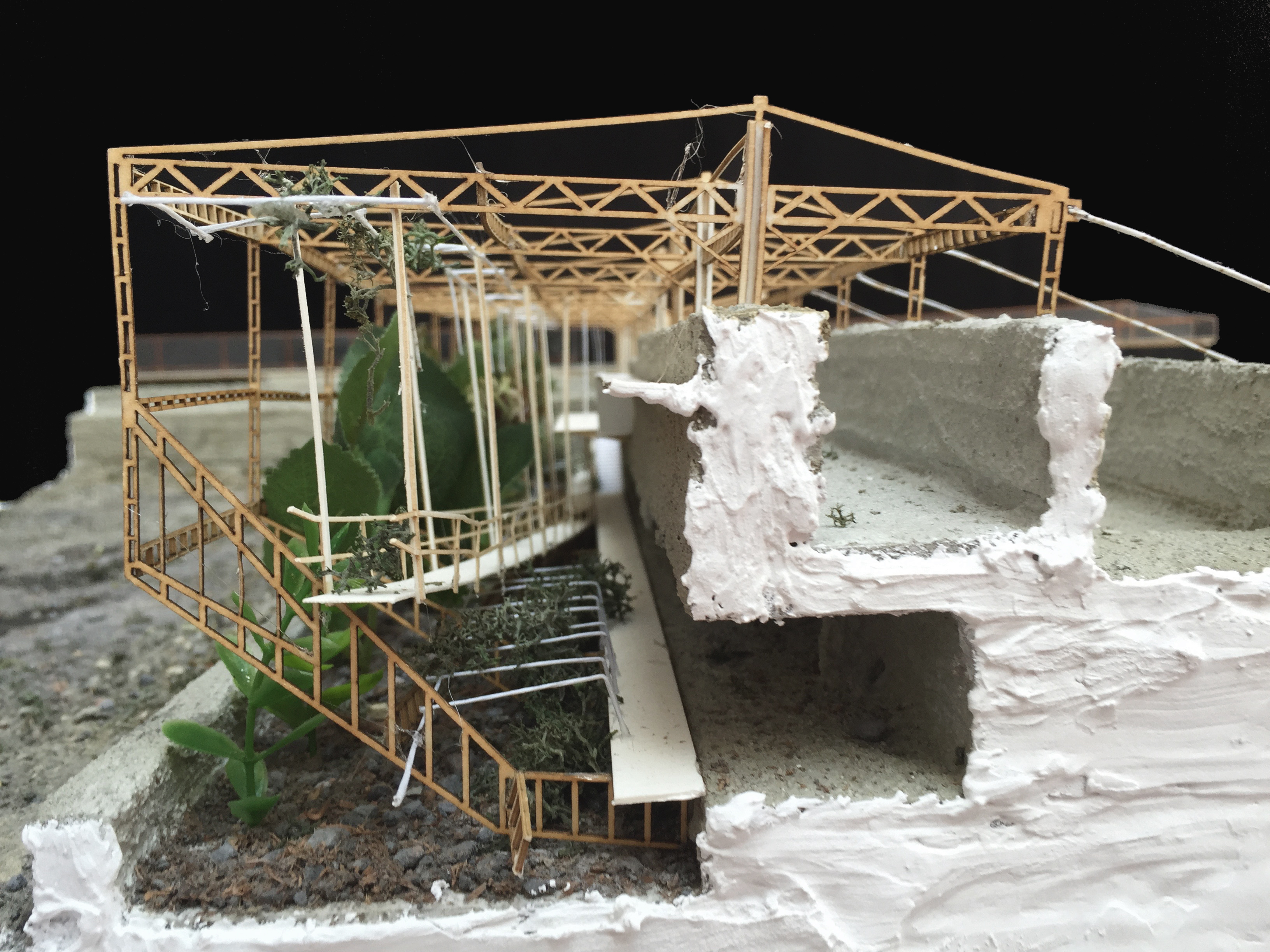 Interior render — underground wetland